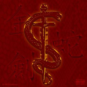 色色的视频网站
