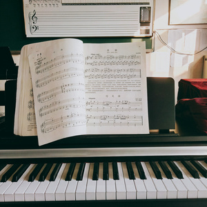 色色的视频网站
